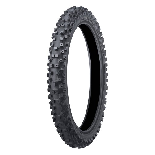 Riepa Dunlop Geomax MX53 60/100-12 36J