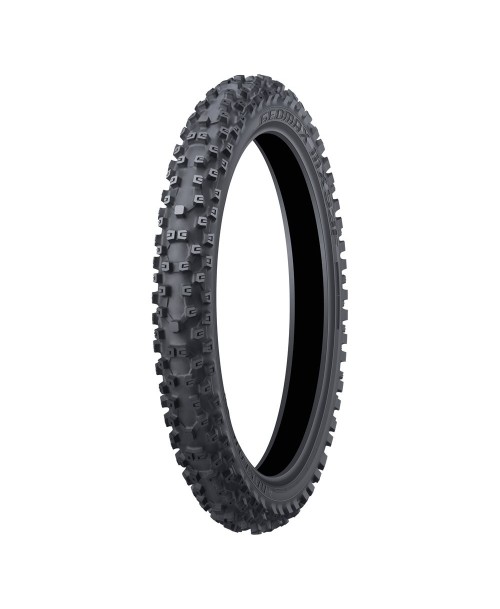 Riepa Dunlop Geomax MX53 60/100-10 33J